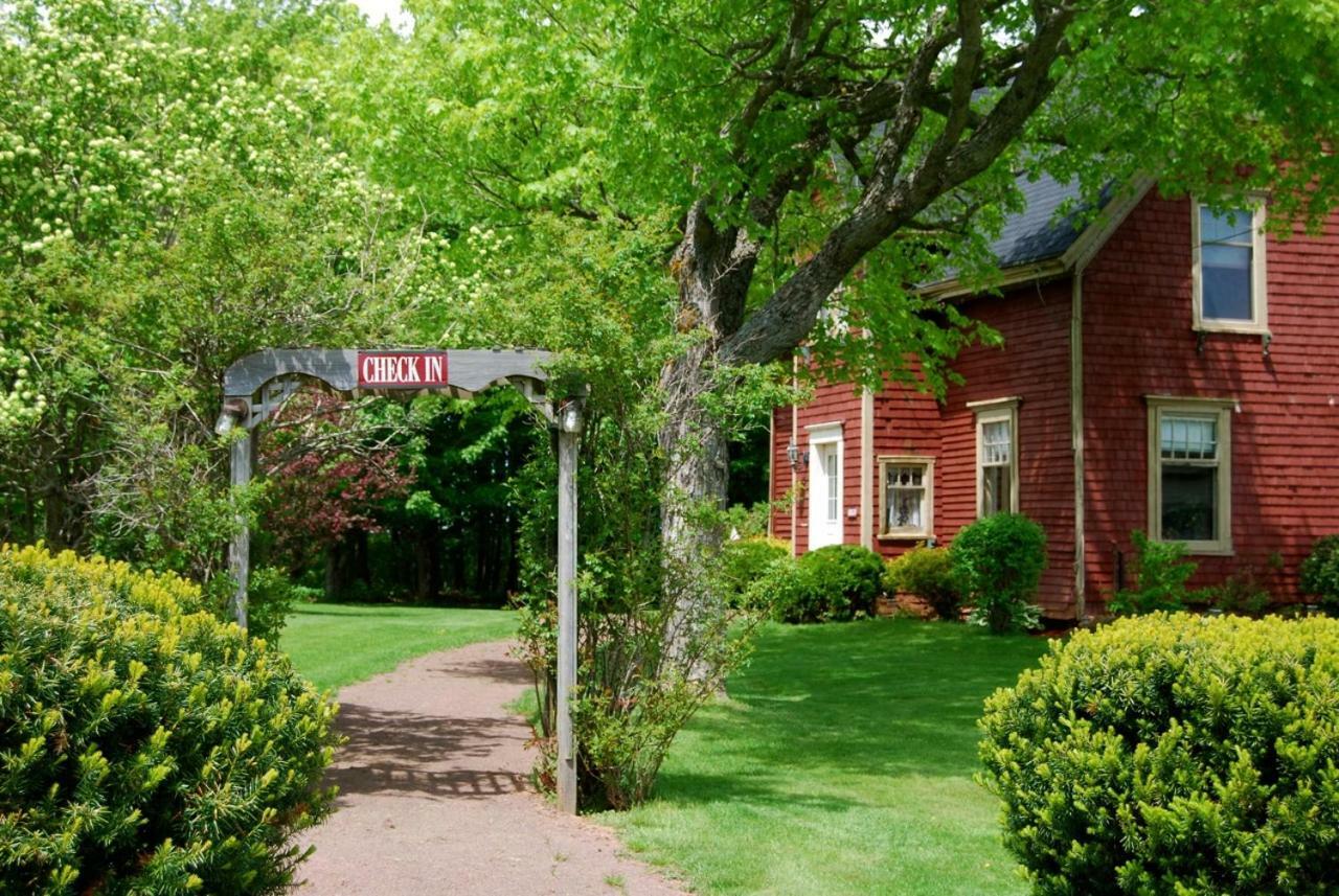 סאמרסייד Bugaboo Cottages מראה חיצוני תמונה